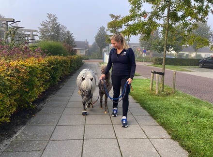 ‘Dieren maken zoveel los in mensen’