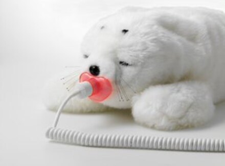 Paro de robotzeehond: ervaringen bij mensen met EMB